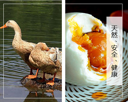 山東國丹食品開發(fā)有限公司